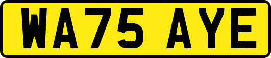 WA75AYE