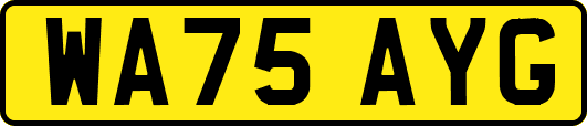 WA75AYG