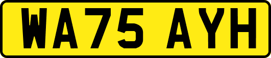 WA75AYH