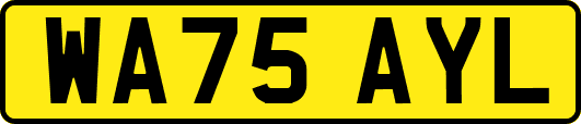 WA75AYL