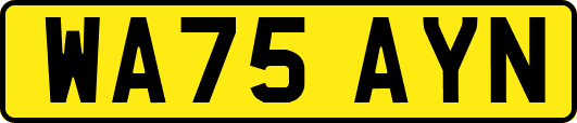 WA75AYN