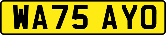 WA75AYO