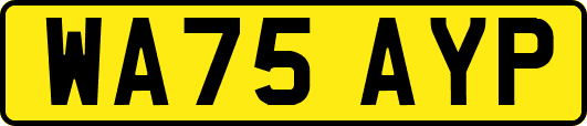 WA75AYP