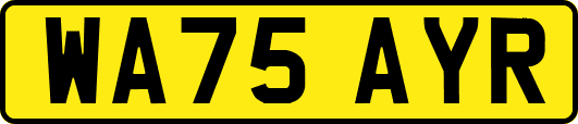 WA75AYR