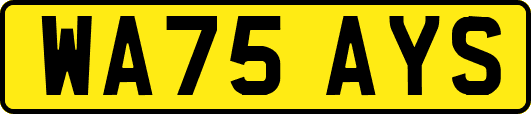 WA75AYS