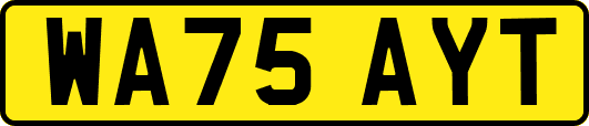 WA75AYT