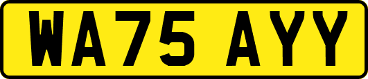 WA75AYY