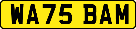 WA75BAM