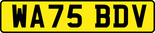 WA75BDV