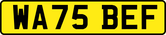 WA75BEF