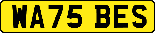 WA75BES