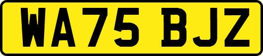 WA75BJZ