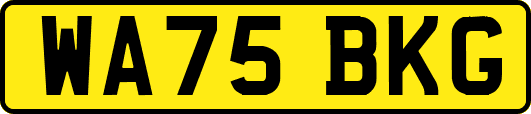 WA75BKG