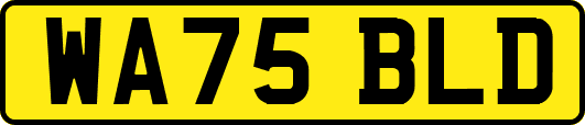 WA75BLD