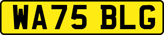 WA75BLG