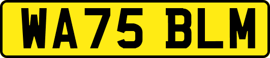 WA75BLM