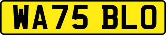 WA75BLO