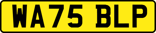 WA75BLP