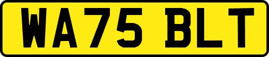 WA75BLT