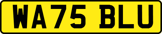 WA75BLU
