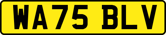 WA75BLV