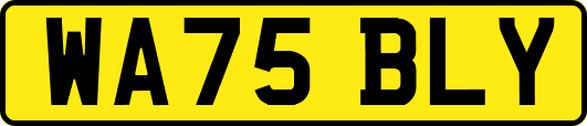 WA75BLY