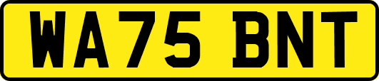 WA75BNT