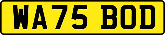 WA75BOD