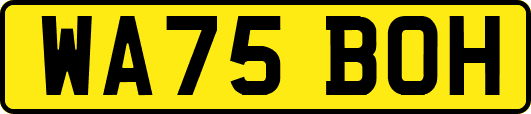 WA75BOH