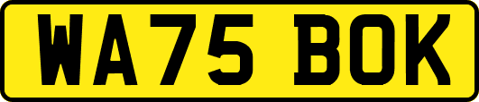 WA75BOK