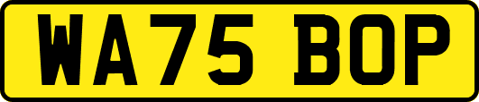 WA75BOP