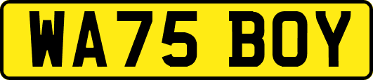 WA75BOY