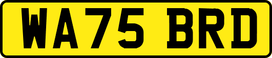 WA75BRD