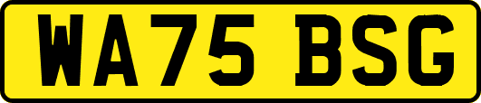 WA75BSG