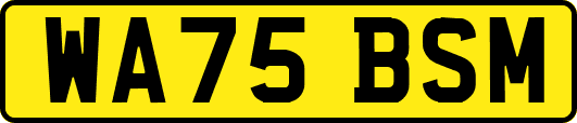 WA75BSM