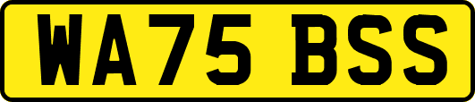 WA75BSS