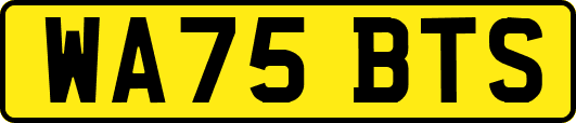 WA75BTS