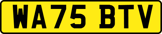 WA75BTV