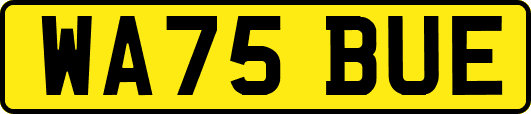 WA75BUE