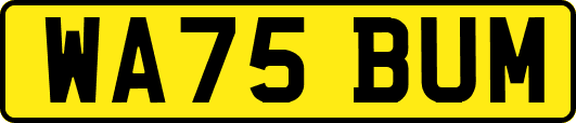 WA75BUM
