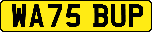 WA75BUP