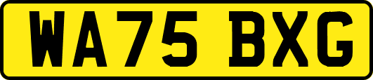 WA75BXG