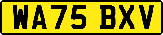 WA75BXV
