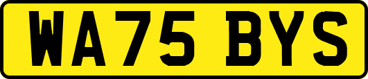 WA75BYS