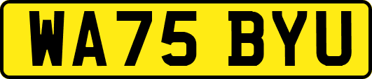 WA75BYU