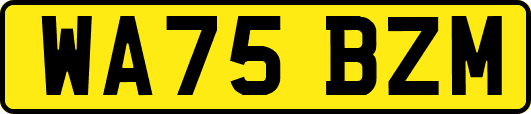 WA75BZM