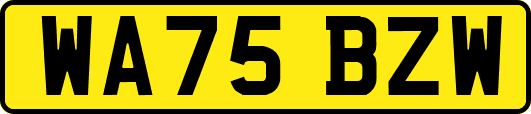 WA75BZW