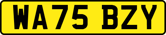 WA75BZY