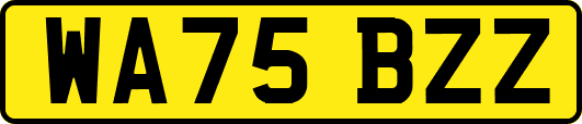WA75BZZ
