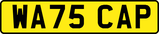 WA75CAP